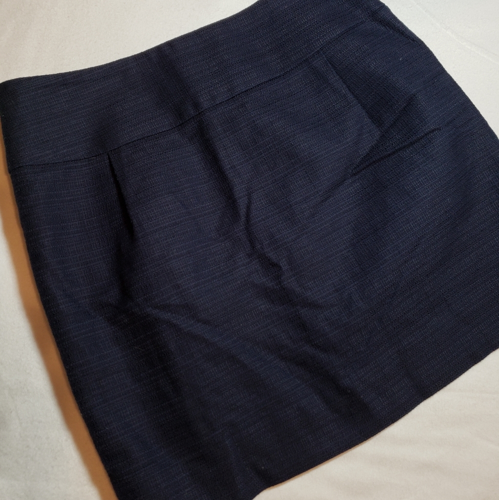 J.Crew Skirt!